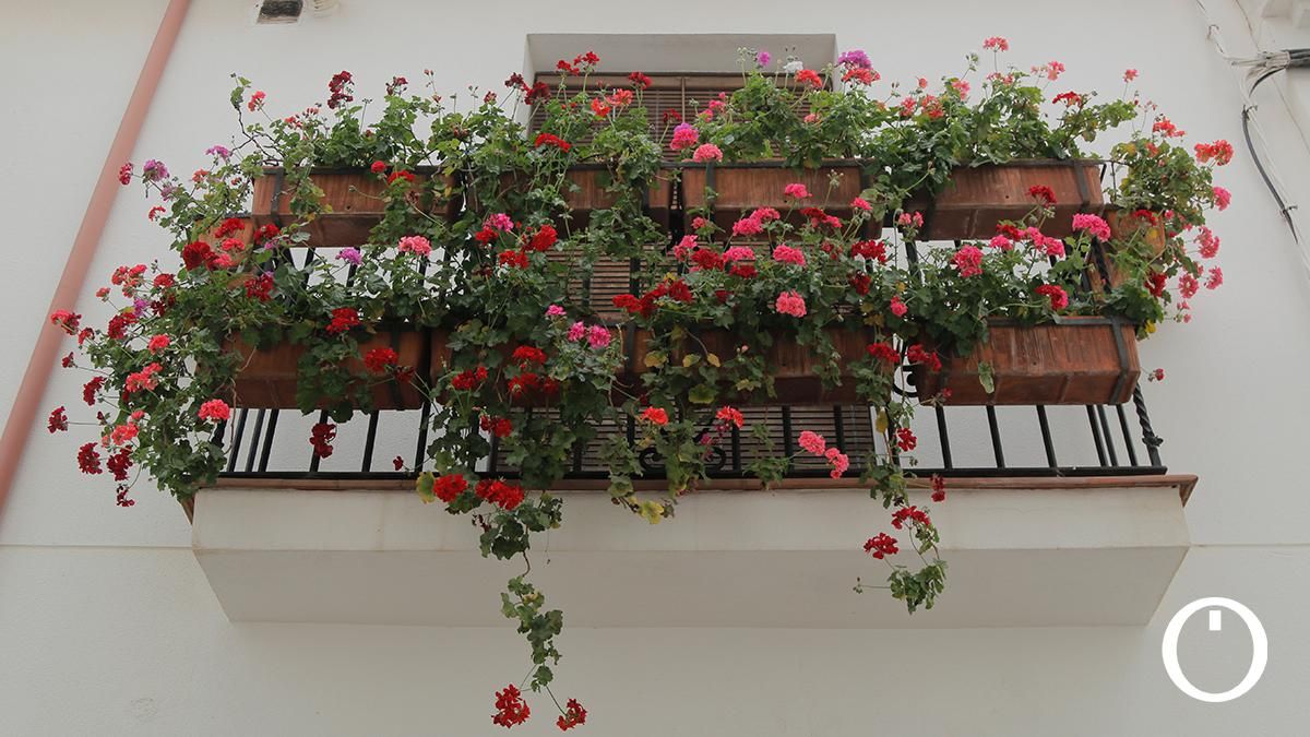 Rejas y Balcones en la C/ Martín de Roa, 2