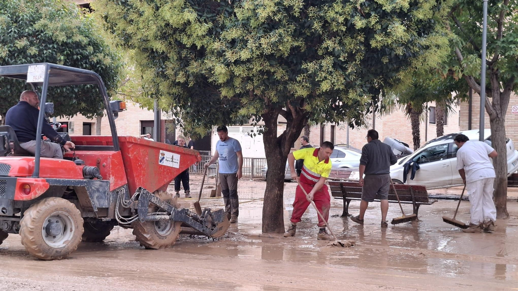 Un parque en María arrasado por la tormenta.
