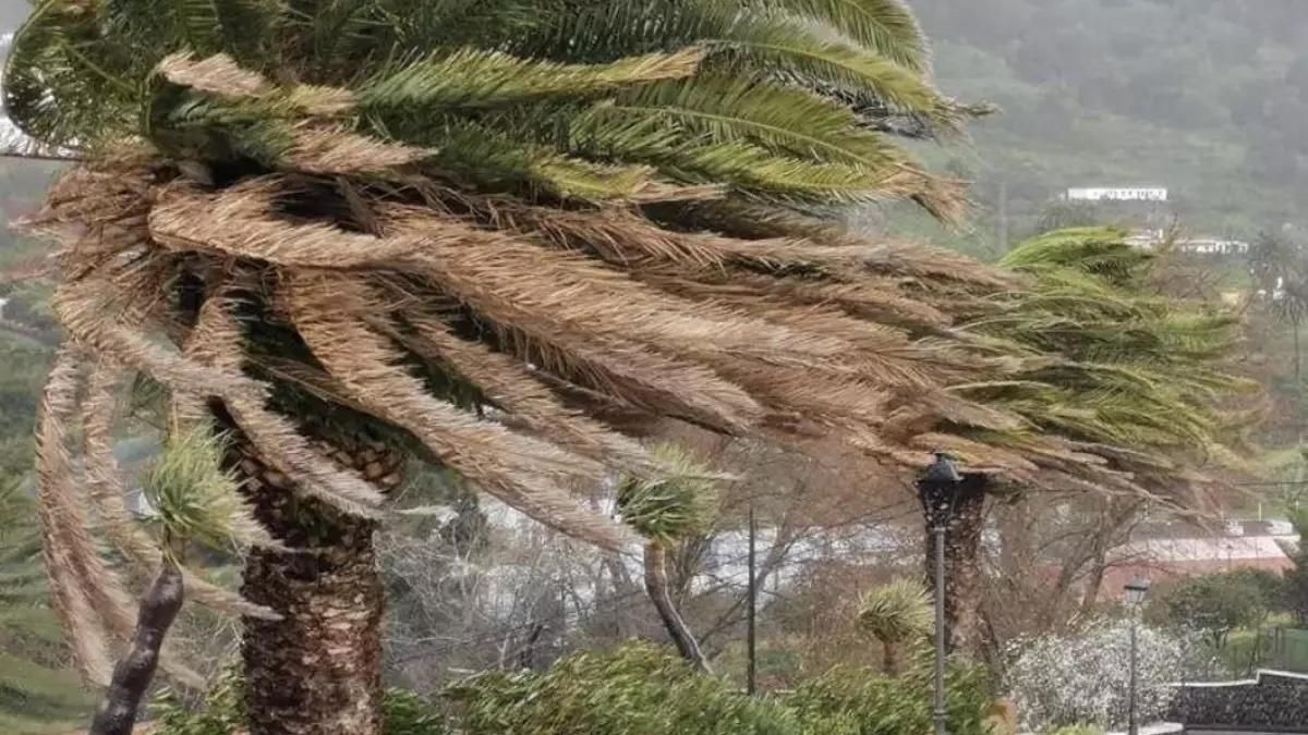 El viento puede superar los 90-100 km/h este viernes en La Palma