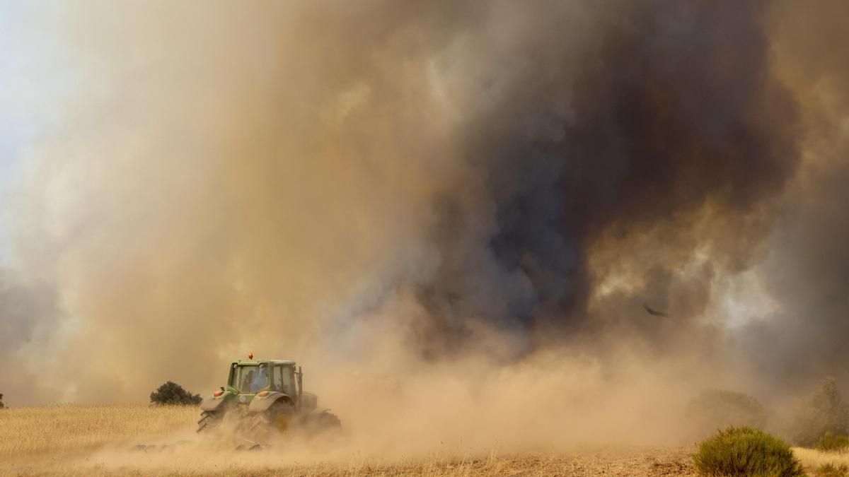 El incendio de Zamora mejora tras quemarse más de 10.000 hectáreas en tres días