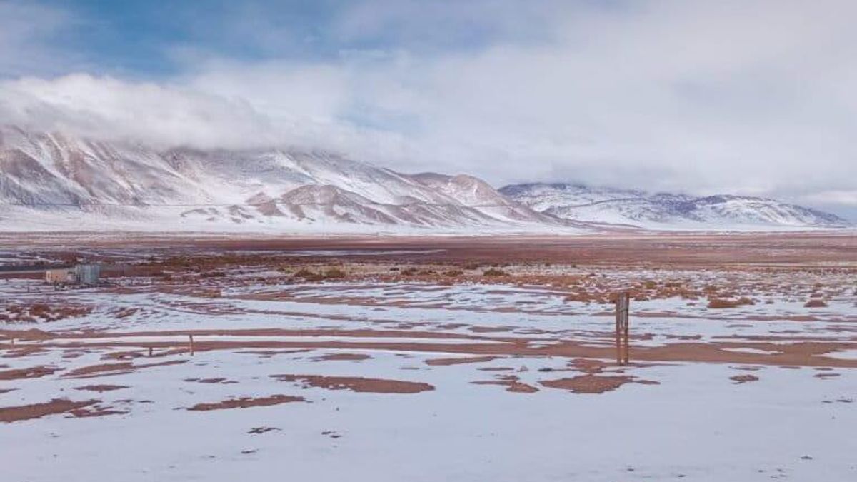 Los Andes tiene una extensión de 14 450 kilómetros cuadrados, más que países como Jamaica, Líbano o Montenegro. Foto: obtenida por Mongabay Latam