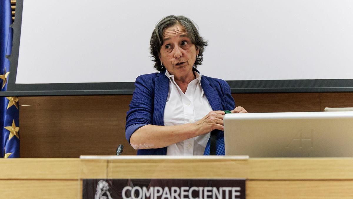 Red Eléctrica cifra en 783 millones el coste de la operación reforzada tras el apagón
