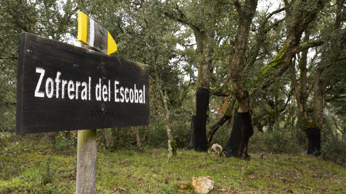 El Zofreral de Cobrana.