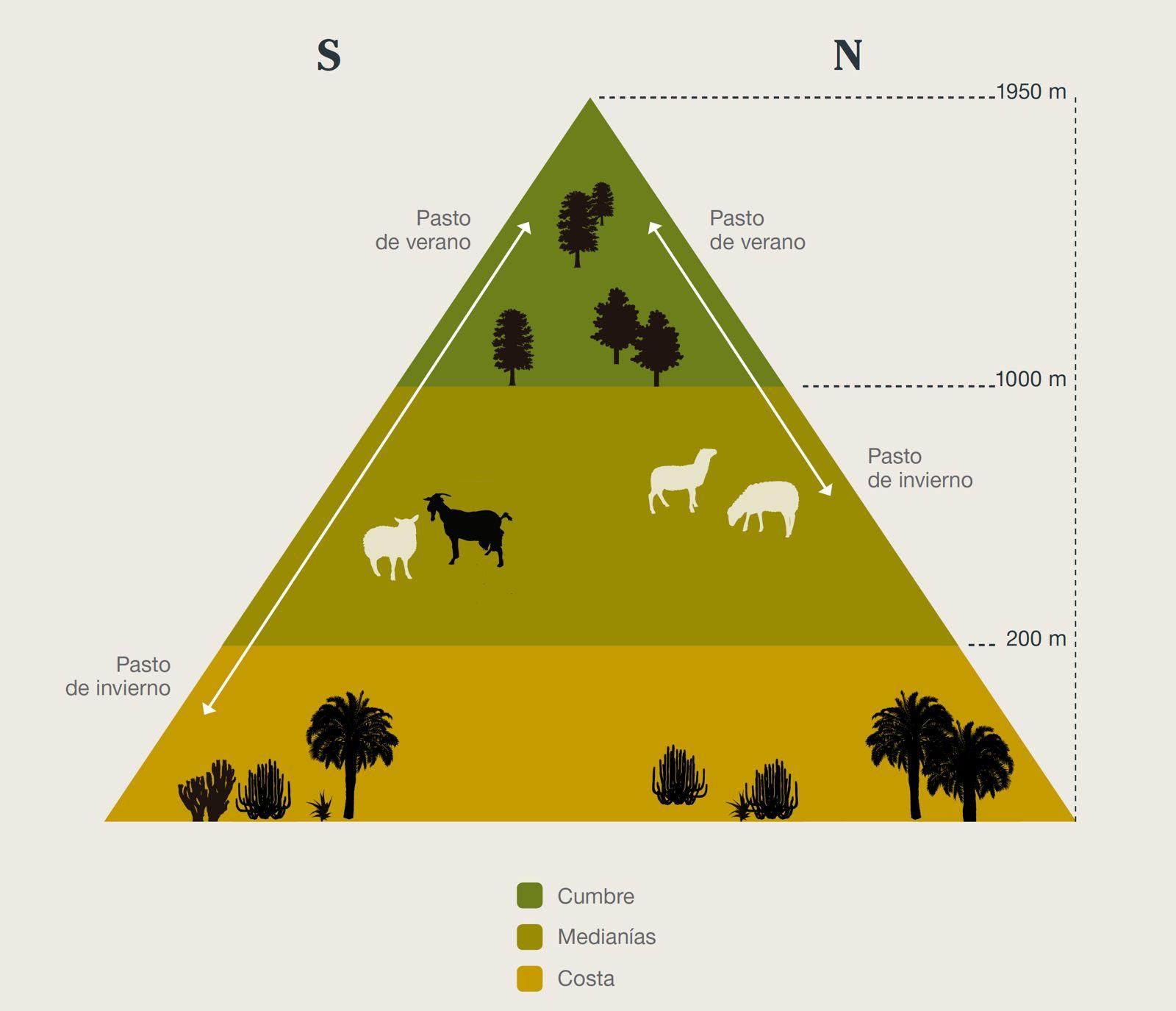 Estacionalidad de los pastos en la isla de Gran Canaria.