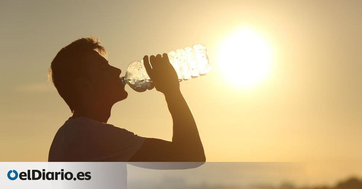 Antigua, Tías, and Tinajo Record the Highest Temperatures This Sunday in the Canary Islands, Exceeding 41 Degrees