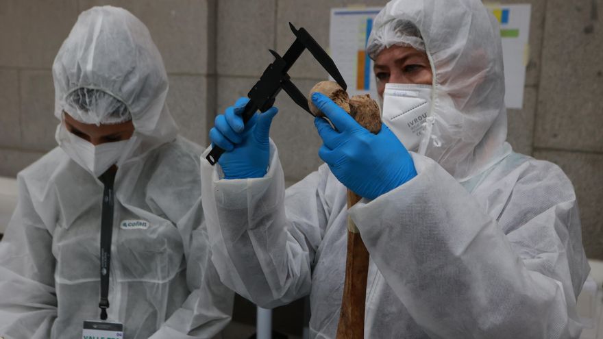 Un falangista y un sindicalista asesinado por paramilitares de Falange, los dos últimos identificados de Cuelgamuros