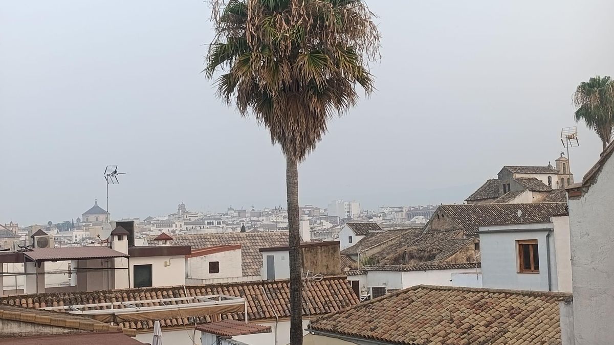 Córdoba continúa bajo el humo de los incendios de Ávila y Madrid, con una calidad de aire desfavorable