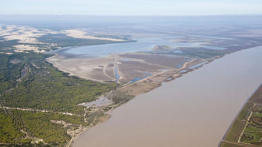 Estuario del Guadalquivir.