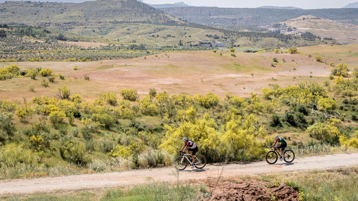 El centenario (y fallido) ferrocarril para atravesar la provincia de Albacete que renace convertido en vía verde