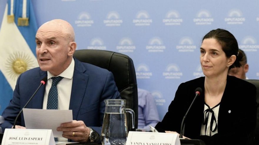 La secretaria de Niñez dijo que no hace cumplir la ley Lucio, de prevención de la violencia contra niños, por ser "ideologizada"