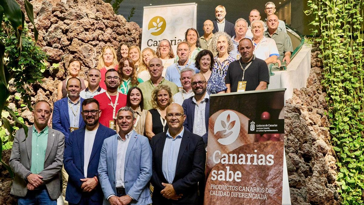 Un total de 264 quesos compiten en La Palma por ser el mejor del Archipiélago en el Concurso Agrocanarias 2026