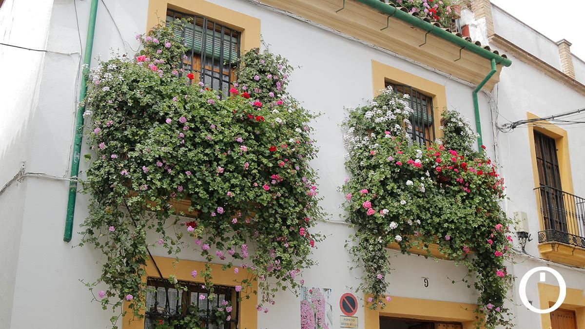 Rejas y Balcones en la C/ Julio Romero de Torres, 9