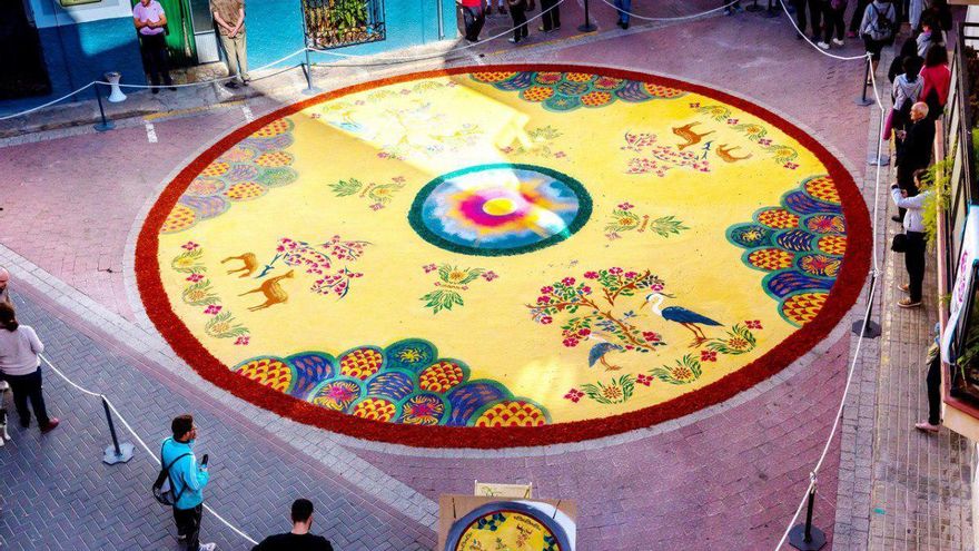 Elche de la Sierra quiere que sus Alfombras de Serrín sean Patrimonio Cultural de la Humanidad