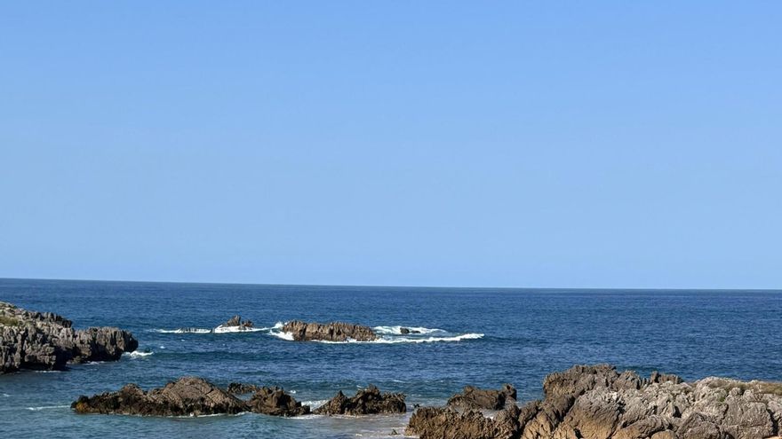 Algas asiáticas en las playas de Noja