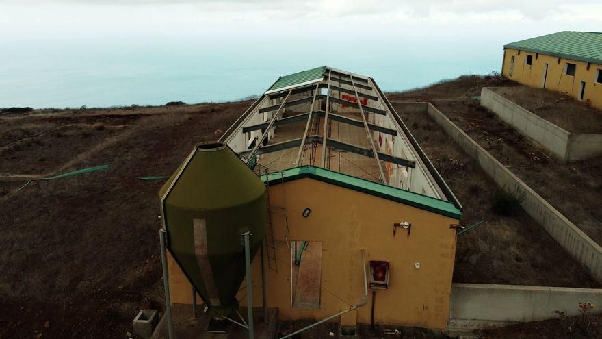 Centro de recuperación del cochino negro, en La Gomera