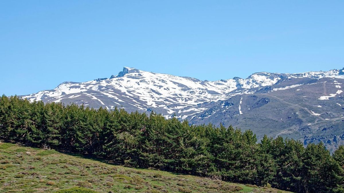200 insectos diferentes, un desierto, dos mil especies vegetales y el pico más alto de la península en una misma sierra
