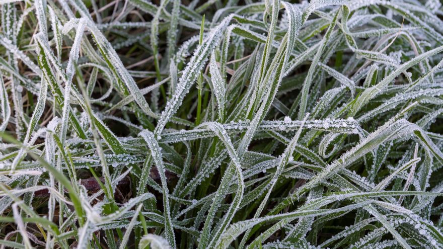 Fin a seis días con heladas consecutivas en Madrid: llega el calor para el fin de semana