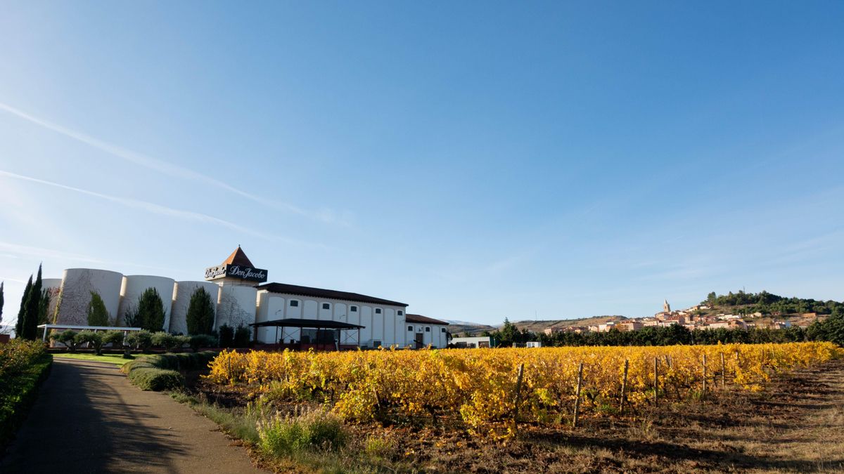 Instalaciones de Bodegas Corral