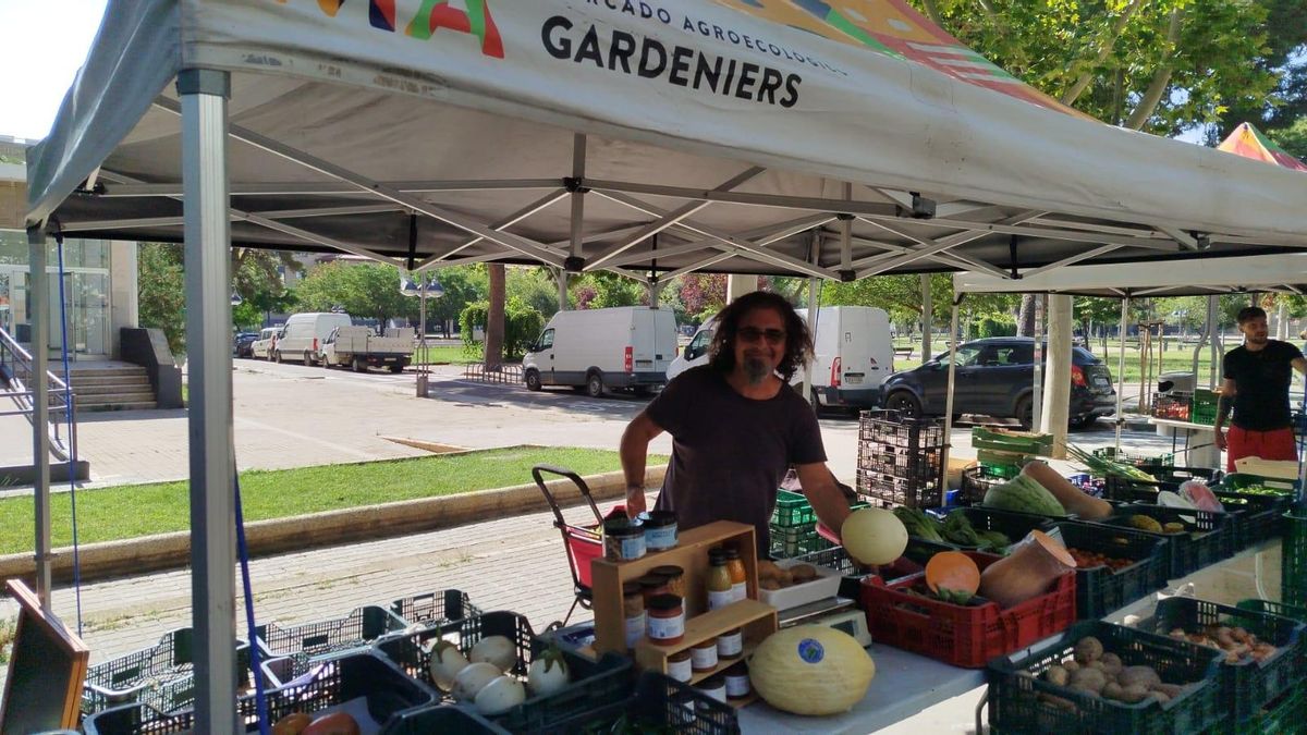 Venta del melón de Torres de Berrellén