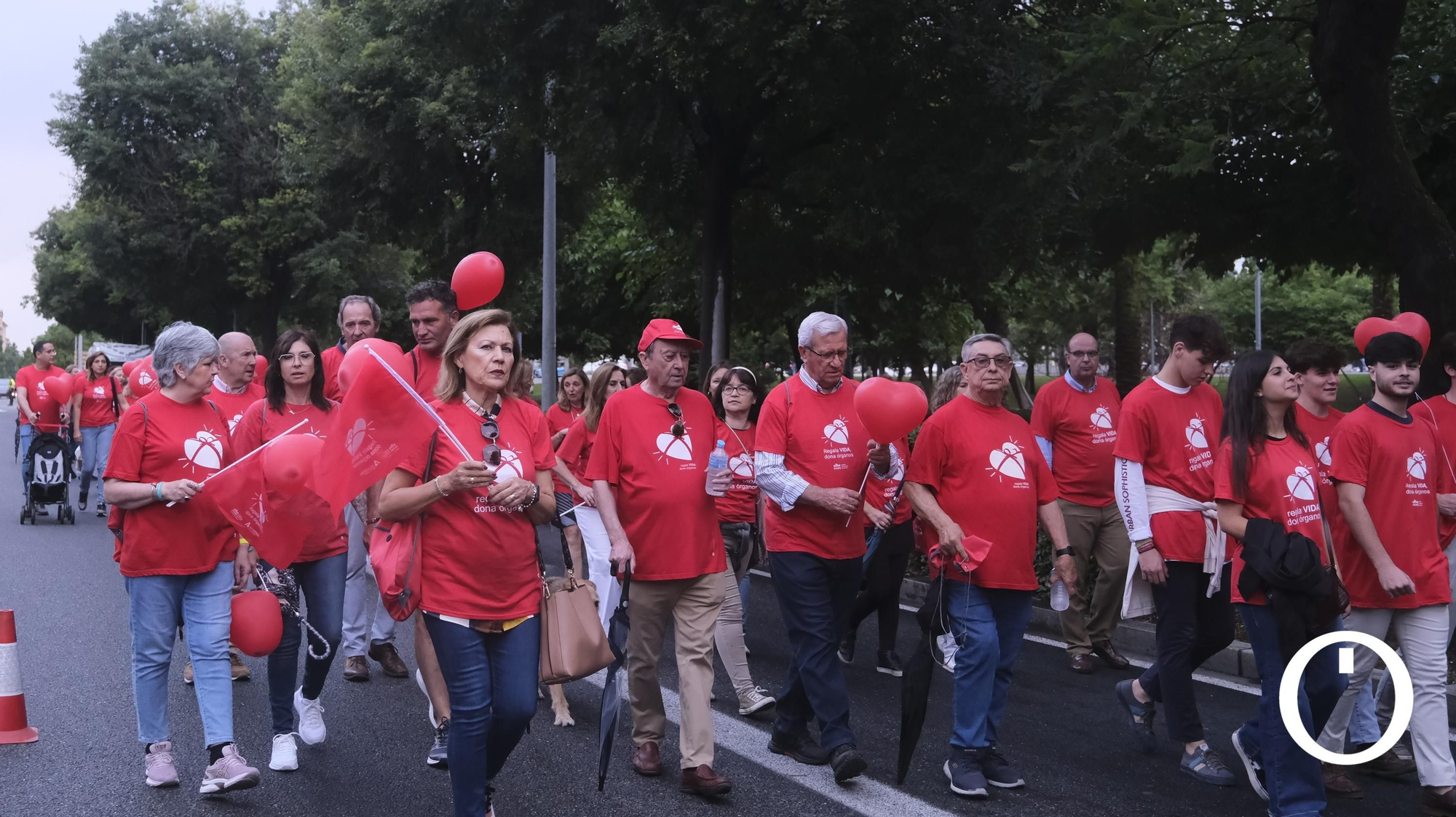 Marcha por la Donación de órganos.