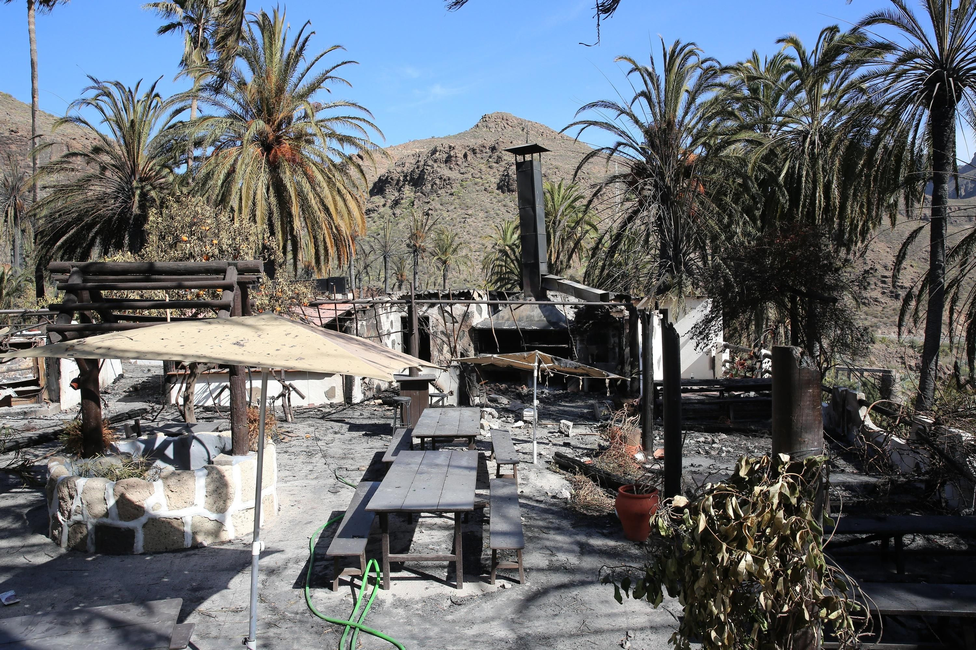 Así ha quedado el palmeral de Fataga tras el incendio declarado este sábado