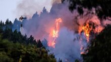 Incendio forestal en Valleseco, el pasado mes de agosto