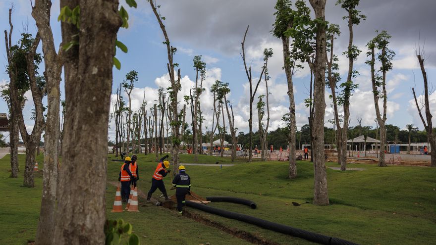 ONU: Las políticas climáticas firmes son un antídoto contra la incertidumbre económica
