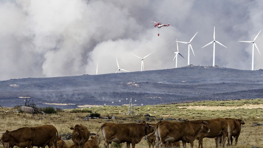 El fuego de Ávila comenzó en 3 focos y quema 3.000 has en un perímetro de 30 kilómetros