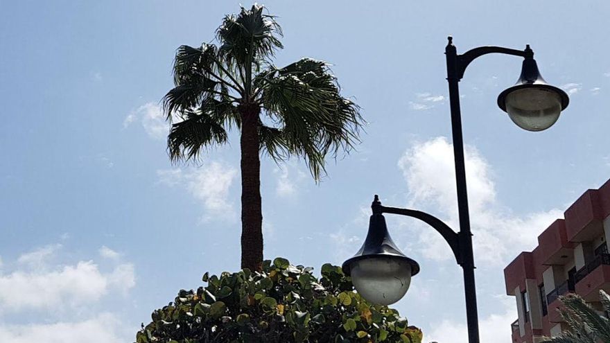 Temperaturas en ascenso este lunes en La Palma