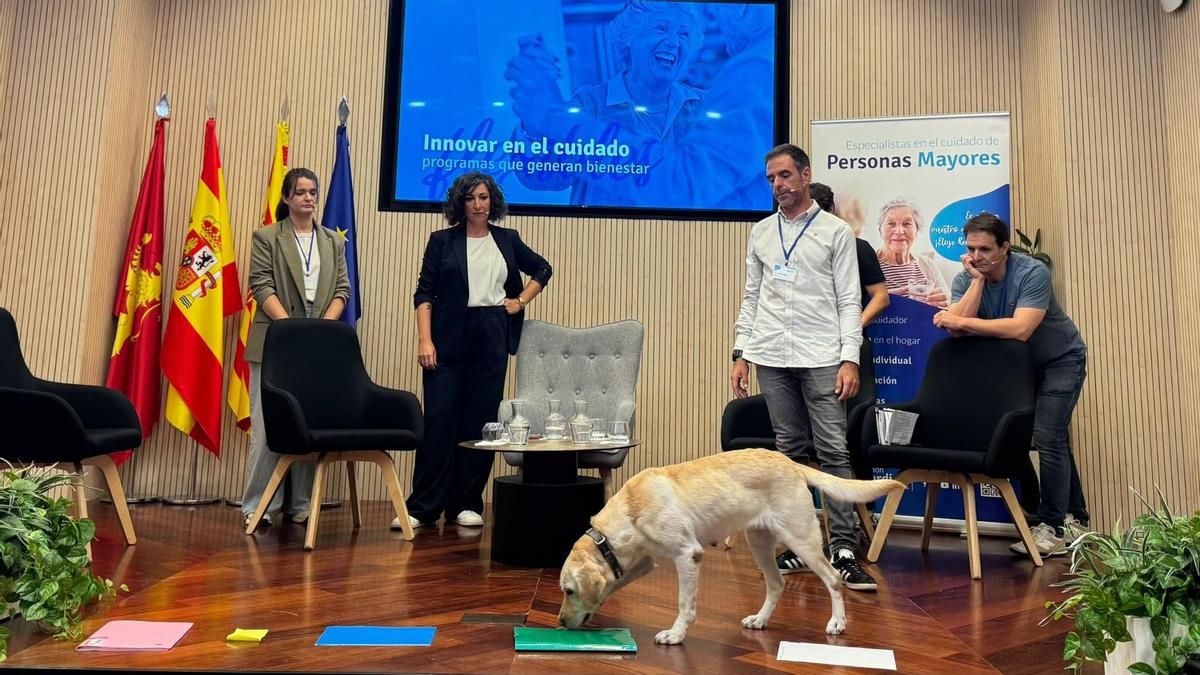 Perros, judo y música en las residencias: la Fundación Rey Ardid expone en Zaragoza proyectos que cambian la forma de cuidar