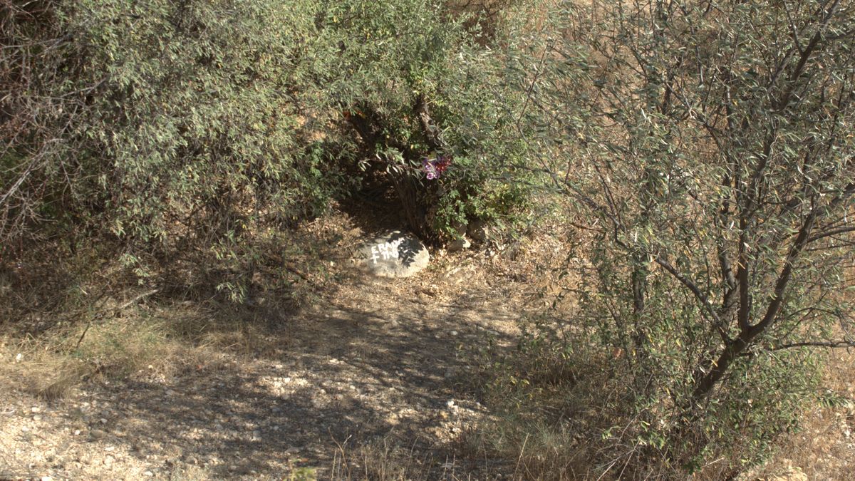 El hijo de Eradio López Táppero fijó en una piedra que mostraba el camino a la fosa, el nombre y la fecha de su muerte.