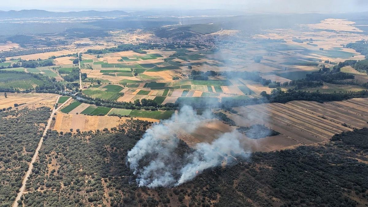 Incendio muy cerca del río Órbigo en el municipio leonés de Alija del Infantado.