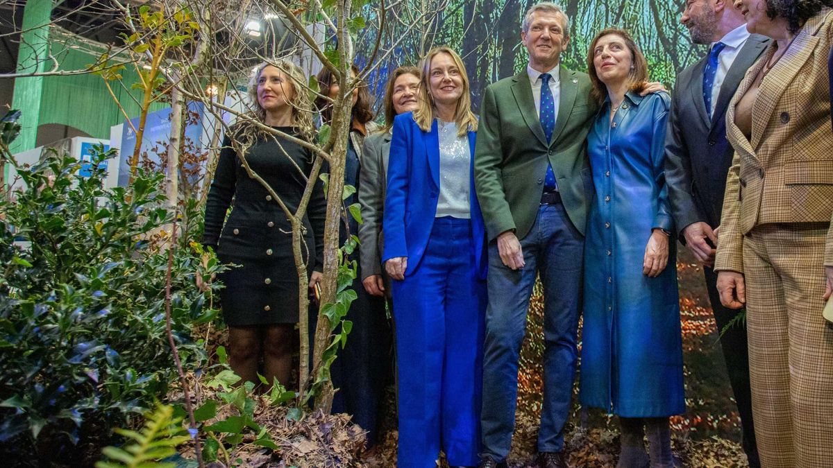 Galicia é Camiño, litoral, calidade, eucaliptos, terra queimada