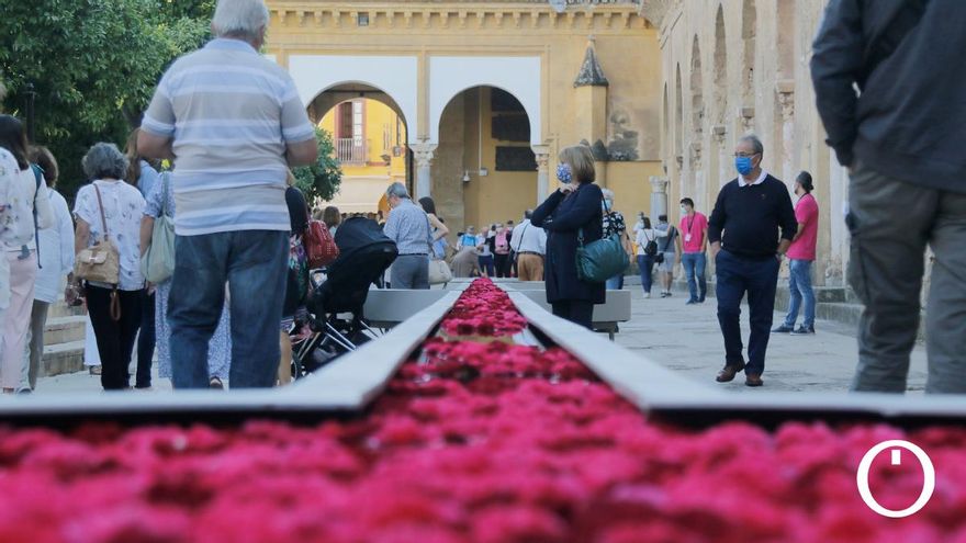 Instalación de Flora 2021 en la Mezquita - Catedral de Córdoba
