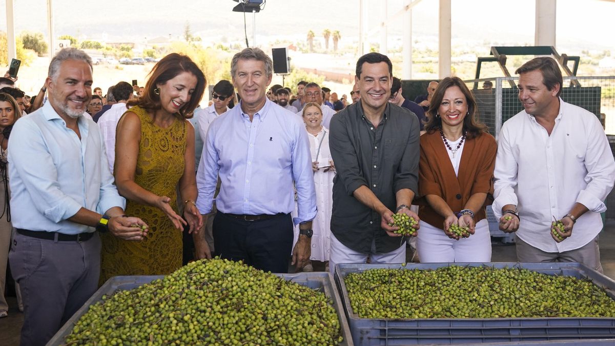 Feijóo acusa a Sánchez de "secuestrar la nación española"