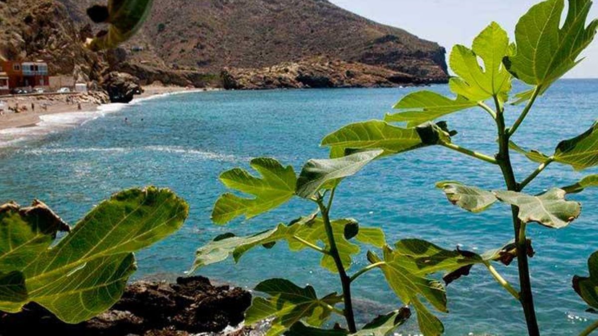 Playa de El Portús