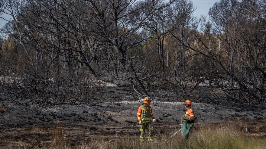 El juez prohíbe al investigado por los incendios de El Saler acercarse a la parte boscosa de la Devesa