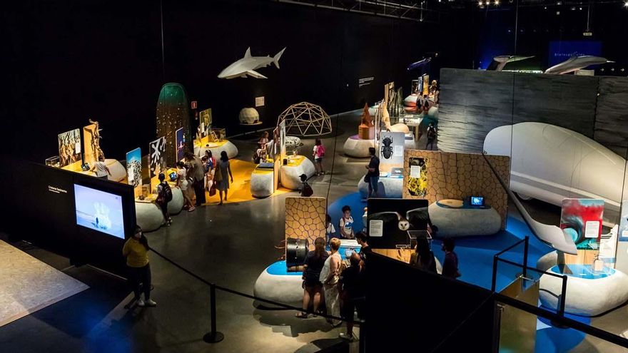 Museos para niños: diez propuestas curiosas y divertidas en las que aprender jugando