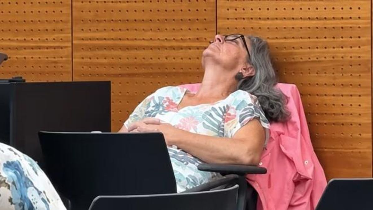 El PSPV exige la reprobación pública de una concejala de Vox en San Vicent del Raspeig por su actitud al dormirse en el pleno