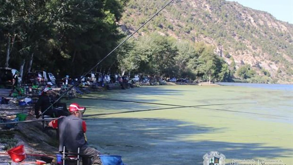 El paraje de Aubera es una de las zonas tradicionales de pesca de siluro de la cola del pantano de Ribarroja.