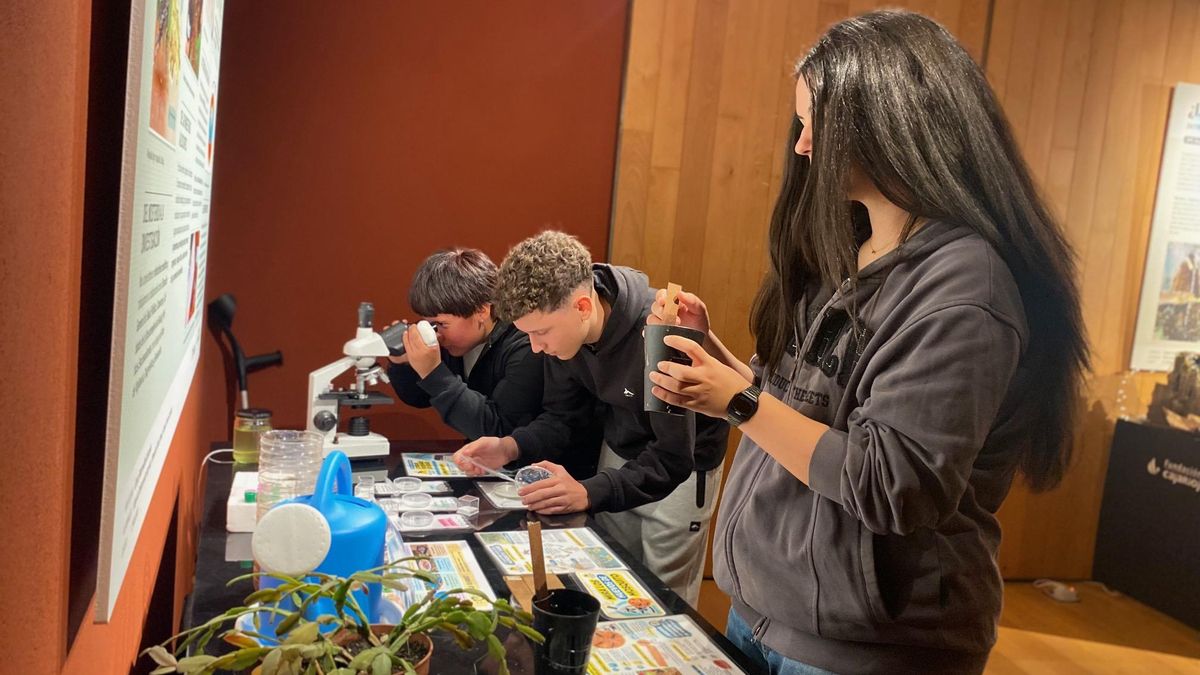 La investigación de escolares riojanos de la ESO y 15 proyectos dan forma a la exposición de Divulgaciencia26