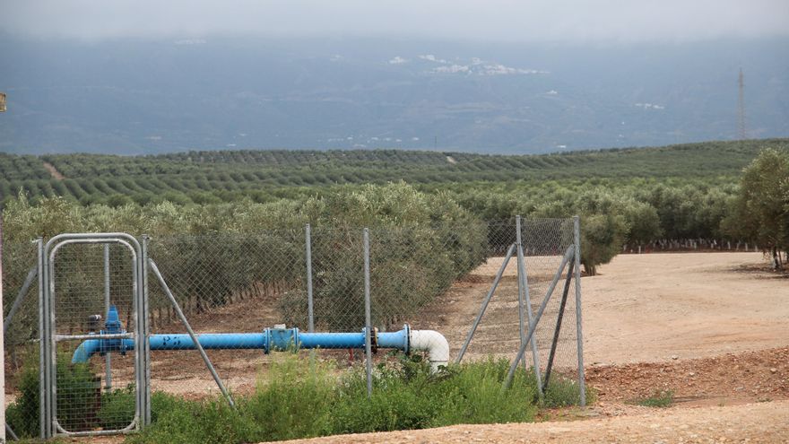 Toma de agua en un campo superintesivo de olivares en el término de Tabernas (Almería) / R.R.