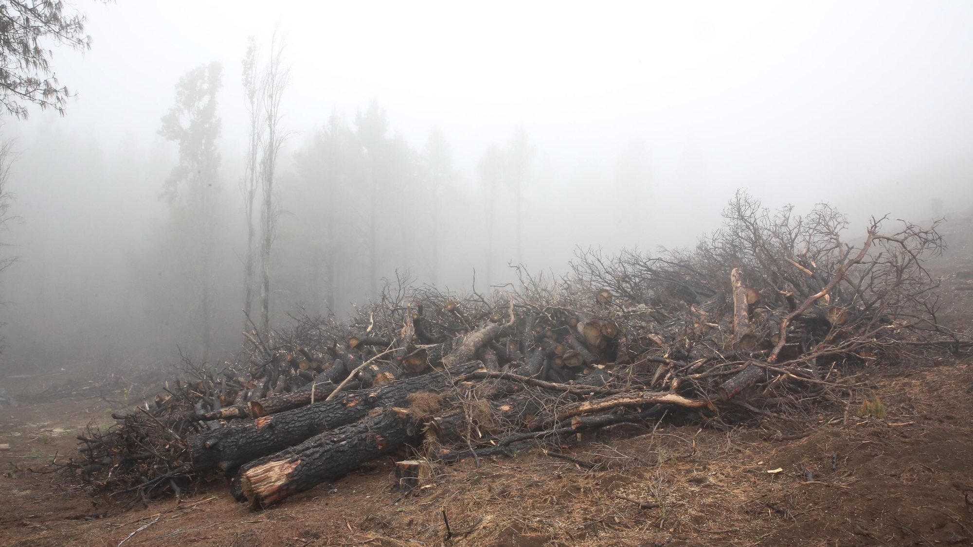 Un día de mayo invernal en la cumbre de Gran Canaria.