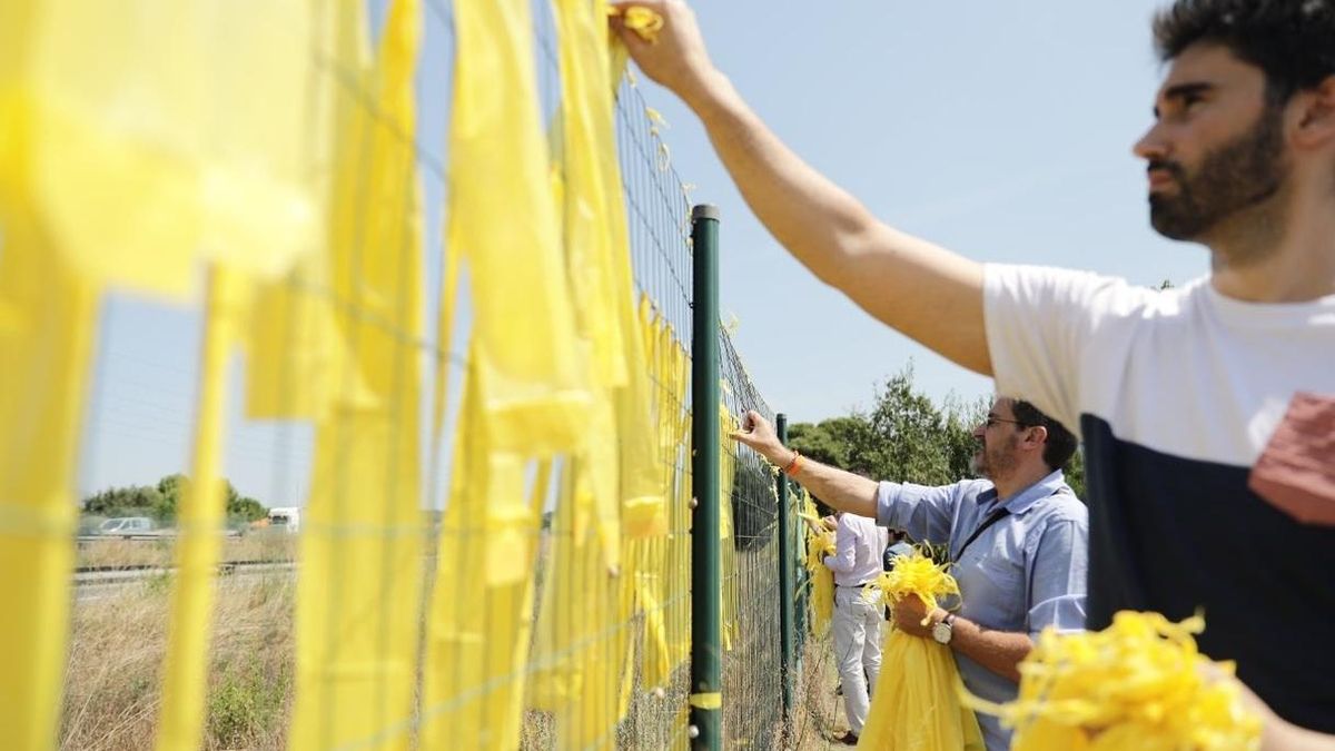 Ciudadanos inicia una campaña de retirada de símbolos independentistas de la calle