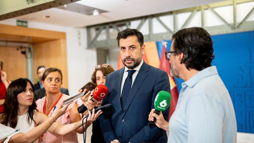 El portavoz del PP en la Asamblea de Madrid, Carlos Díaz Pache.