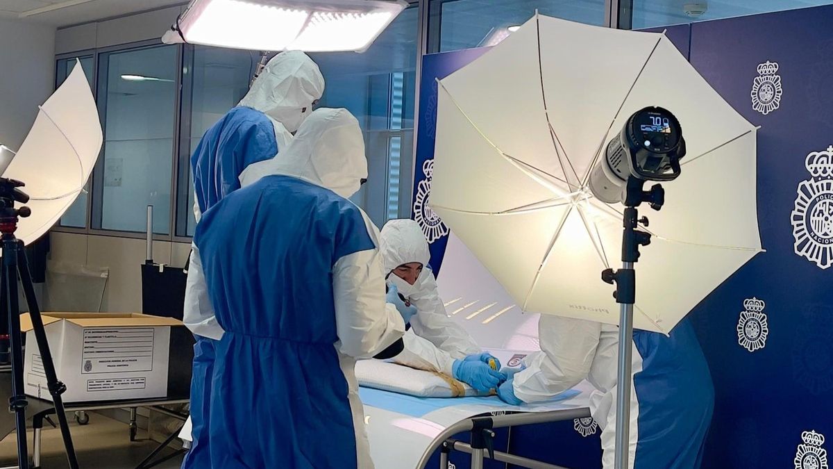 El cuadro de Picasso que iba rumbo a Granada no salió del portal: lo cogió una vecina que pensó que era un paquete