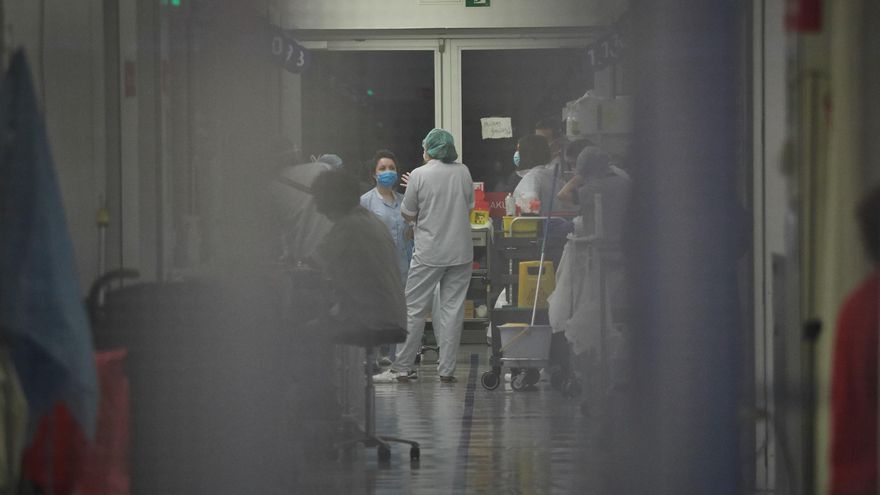 Más plazas universitarias de Enfermería en Extremadura, reclama el sindicato Satse