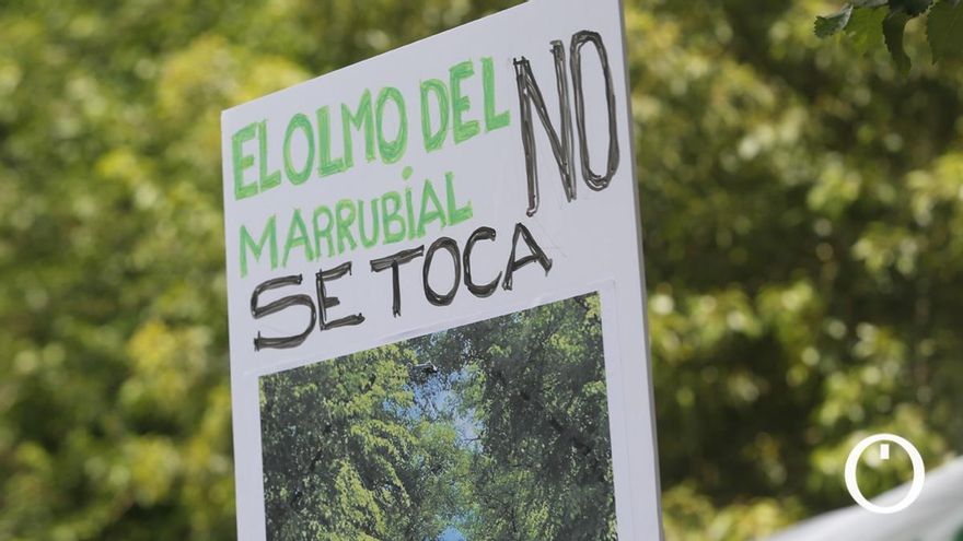 Protesta contra la tala del olmo del marrubial
