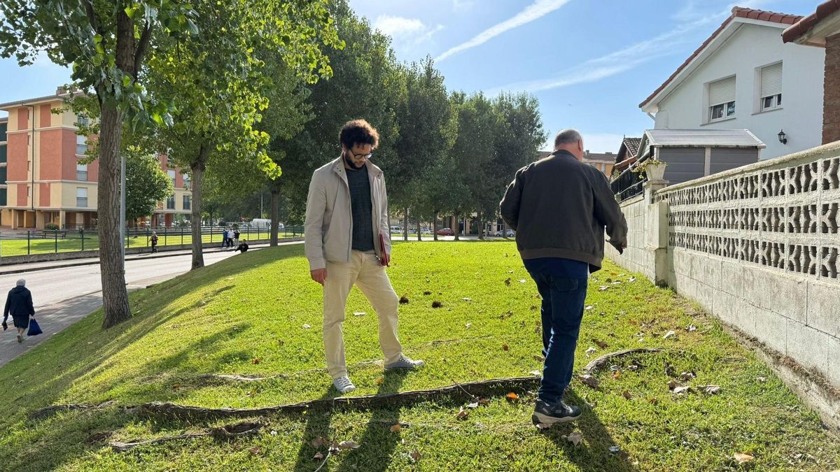 IU denuncia la "inacción" del PP ante los "graves daños" causados en viviendas por arbolado urbano en Peñacastillo.