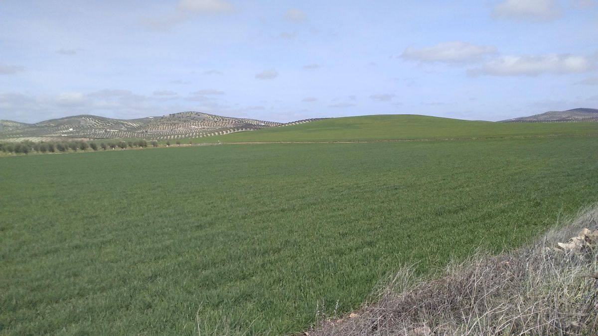 Panoramica del arroyo Carrasco